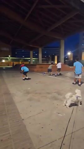 Two white dogs on leashes are in the foreground. A group of children are playing soccer in the background under a covered wooden structure. The sky is dark blue, indicating it is dusk or nighttime. Buildings are visible in the distance.