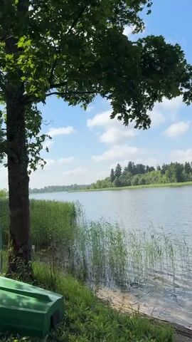 The video pans across a serene lake on a bright, sunny day. Tall green grass lines the shore, with reeds growing in the shallow water. A large tree with dark green leaves is prominently positioned on the left side of the frame, casting shadows. A bright green object, possibly part of a boat or storage container, is partially visible on the grassy bank in the foreground. The lake extends into the distance, bordered by a lush green tree line. The sky is a vibrant blue with scattered white clouds. The water appears calm with gentle ripples. No people are visible in the video.