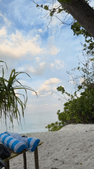 Peaceful beach scene captured in Ukulhas, Maldives during golden hour