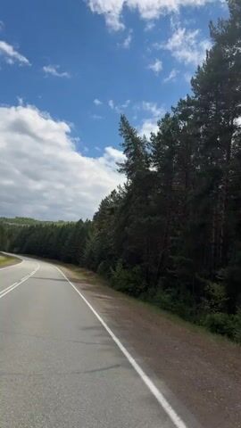 A low-angle video shows a grey asphalt road with a white line on the edge, curving left. To the right of the road is a strip of brown dirt, followed by a dense line of tall, dark green pine trees. The trees form a forest edge, sloping slightly uphill. Above, a blue sky is partially covered with scattered white, puffy clouds. The video appears to be taken from a moving vehicle. The sound of wind can be heard.