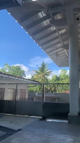 The video depicts a veterinary facility with a white roof structure and concrete flooring, transitioning from an outdoor view to an indoor/covered area. Initially, a metal gate, blue sky with clouds, and lush green trees including palm trees are visible. A brown dog walks from the left to the right side of the frame. The camera pans right, revealing a man in a dark t-shirt and shorts standing, adjusting an IV drip stand next to a medical table. Another person is partially visible in the background. Several medical tables, some with green cloths, are present. Another brown dog is lying on the concrete floor in a patch of sunlight. Overhead lights, possibly surgical lamps, hang from the white ceiling. Cages or kennels are also visible within the facility.