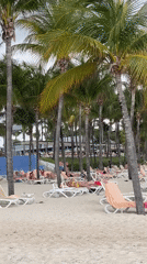 Evening beach activity and wildlife spotted in Playa del Carmen