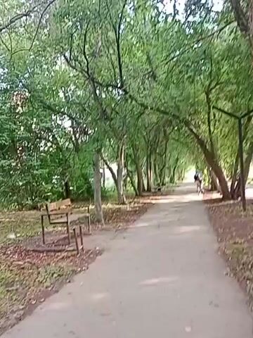 A dirt path curves through a park lined with trees. The trees have green foliage and form an archway over the path. There are benches on the left side of the path. A person is riding a bicycle down the path in the distance. The lighting suggests it is daytime. The video is shaky.