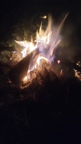 The video captures a nighttime scene in a forest, likely in Nga, Indonesia. The primary subject is a campfire, with logs burning brightly and emitting smoke. The flames are vibrant, casting a warm glow on the immediate surroundings.

As the video progresses, the camera pans to reveal a group of people gathered around the fire. They appear to be having a meal or a casual get-together. One person is visible in the foreground, wearing a blue shirt, and seems to be engaged in an activity with others who are partially obscured by darkness. There are some objects on a blue tarp in front of them, possibly food items or camping gear.

The setting is dark, indicating it is nighttime. The presence of trees and foliage suggests a natural, outdoor environment, consistent with a forest or camping location. The mood seems relaxed and communal, with the fire providing a central point of gathering and warmth. The camera movement is somewhat shaky, suggesting it might have been handheld. There is no visible text in the video. The overall impression is one of a quiet, social gathering in a natural, nocturnal setting, illuminated by the dancing flames of a campfire.