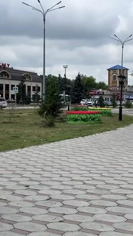 The video pans across an urban park or public square. In the foreground, there is a paved walkway made of interlocking hexagonal tiles. To the left, there is a grassy area with a few trees and a raised flower bed filled with red and green artificial tulips. A lamppost with multiple lights stands tall in the background. Further back, a historical-looking water tower with a blue roof is visible, along with some buildings and other lampposts. As the camera continues to pan, a statue of a standing figure is seen, and then the focus shifts to a fountain with multiple streams of water spraying upwards. Pigeons are seen walking near the fountain. In the background, residential buildings and more trees line the street. The sky is overcast with clouds. There are a few people visible in the scene, sitting on benches or walking.