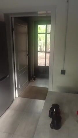 The video shows a tour of a kitchen. The first shot shows a door leading to the outside with shoes on the floor. The second shot shows a refrigerator and a cabinet. The third shot shows a stovetop, a microwave, and some dishes. The fourth shot shows a sink and a microwave. The fifth shot shows a sink and some cleaning supplies.