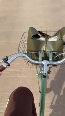 The video shows a first-person perspective of someone riding a light green bicycle on a concrete path. A YSL branded bag sits in the bicycle's front basket. The path leads toward a building with a simple, shed-like structure.  The area around the path is grassy with bare trees scattered around. The sky is light blue and clear.