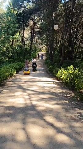 A man and a woman walk down a dirt path in a forest. The man pushes a stroller with a child in it. A yellow toy car with a child in it is pulled along by the woman. More people are walking in the distance. The sun casts shadows on the path.