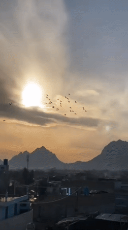 Sunset scenes with birds, children captured across Kandahar cityscape