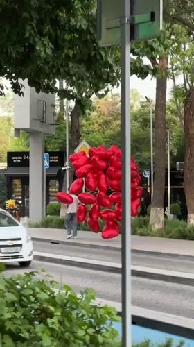 Car decorated with red heart balloons spotted in Tashkent