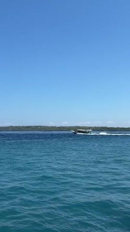 A wide shot captures a clear blue sky meeting a vast expanse of deep blue ocean under bright daylight. In the middle distance, a long, narrow boat with a white cabin and a dark hull travels from left to right, leaving a white wake behind it. The boat appears to be moving at a moderate speed. Beyond the ocean, a distant, tree-lined island or coastline stretches horizontally across the frame, forming a dark green band against the horizon. The water's surface is rippled, indicating a gentle breeze. The overall scene conveys a sense of calm and openness.