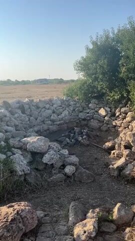A dry, rocky outdoor area with a stone wall partially enclosing a sunken pit. A fire burns in the pit. The sun is low in the sky, casting long shadows. There are trees to the right of the frame, and a field with a distant building and windmill in the background.