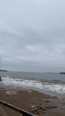 Ice floes observed floating on water near Chaikovsky, Russia