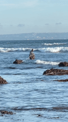 Morning beach activities captured at North Kuta, Indonesia