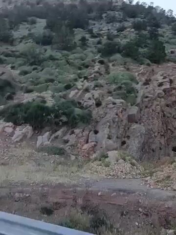 The camera, mounted on a moving vehicle, looks up at a steep rocky hillside covered with sparse vegetation. The slope is composed of large, angular rocks and boulders in shades of gray, brown, and pink. A few small trees and green shrubs dot the landscape. The sky is clear and blue. The vehicle appears to be traveling along a road or path at the base of the hill. The wind is audible.