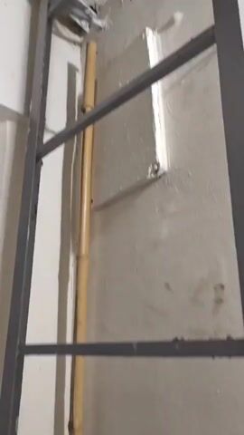 Two barn swallows are perched on a metal beam high up in the corner of a room with white walls and a dark brown ceiling. One bird is on the left and another on the right. Both birds face the camera and have their beaks slightly open. A bamboo pole stands upright against the wall below them.