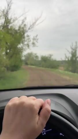 A car is driving on a dirt road with grass and trees on either side. A lake or large pond is visible through the trees. The driver's hand is on the steering wheel. The sky is overcast.
