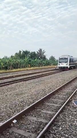 A train moves forward on a railway track surrounded by vegetation and a cloudy sky. The train is white with blue and green accents. The tracks are made of gravel and metal.
