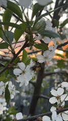Spring evening captured in photos across Chaikovsky, Russia