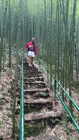 A man with a beard and a red jacket walks down a set of stone stairs in a bamboo forest. The stairs are covered in leaves and have green metal railings on either side. The man is holding a white cup. The bamboo stalks are tall and green, and the ground is covered in fallen bamboo leaves. The man smiles.