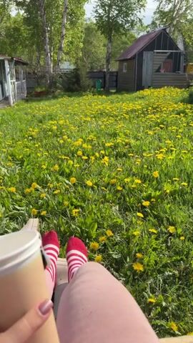 A person is lying down in a field of dandelions, holding a coffee cup. They are wearing pink pants and red and white striped socks. There are two small buildings and trees in the background. The sun is shining.