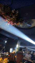 Nightclub interior with hanging flowers documented in Sofia