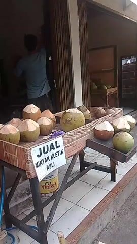 THE VIDEO SHOWS A STREET-SIDE STALL SELLING COCONUTS. A MAN IN A BLUE SHIRT IS VISIBLE IN THE BACKGROUND, POSSIBLY WORKING. THE STALL HAS SEVERAL TABLES AND SHELVES DISPLAYING COCONUTS, SOME HALVED. A SIGN ON ONE OF THE TABLES READS "JUAL MINYAK KLETIK ASLI," INDICATING THE SALE OF PURE COCONUT OIL. THE AREA APPEARS TO BE OUTDOORS, WITH TILE FLOORING AND A COLLAPSIBLE SHUTTER IN THE BACKGROUND. THERE ARE PILES OF COCONUTS ON THE GROUND, SOME APPEARING TO BE DISCARDED HUSKS.