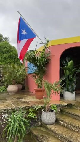This is a short, still video of a bright pink building with a yellow roof. A Puerto Rican flag flies in front of the building. Several potted plants are arranged around the entrance, including palm trees. The ground in front of the building is made of stone, and there are stone steps leading up to the entrance. The sky is cloudy.