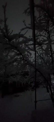 The scene is a dark winter landscape. Trees laden with snow obscure much of the view, with a building visible in the background. Light emanates from the building's windows. The ground is covered in a blanket of snow. The overall ambiance is dark and serene.