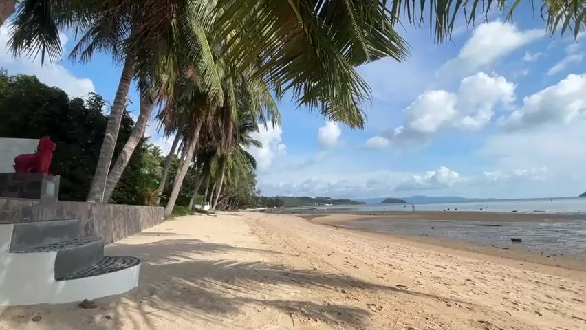 The video shows a serene beach scene on a sunny day. The beach has light brown sand and is lined with tall palm trees, casting shadows on the ground. In the background, there is a calm body of water with a few distant islands visible. To the left of the frame is a small set of stairs leading up to a stone wall, where a red lion statue is placed. The sky is blue with scattered white clouds, and the overall scene evokes a sense of tranquility and relaxation.
