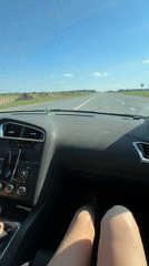 Car interior video captures sunny drive through Russian countryside