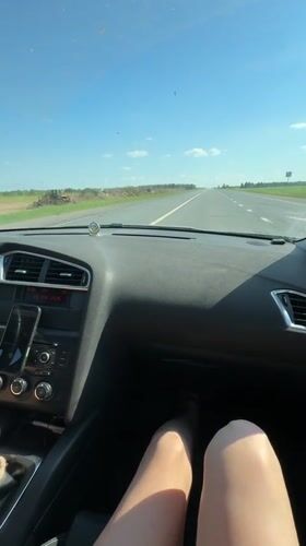 Car interior video captures sunny drive through Russian countryside
