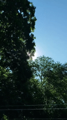 Ground-level summer scenes from a sunny Kremenchuk yard