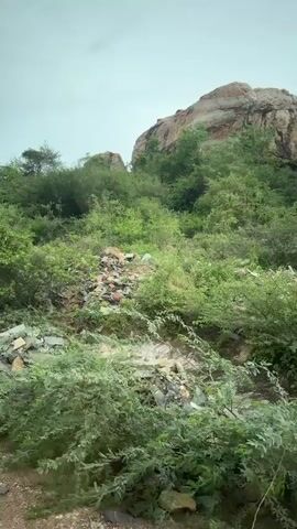 This is a video footage of a rocky, sparsely vegetated landscape. The scene is dominated by a large, eroded rock formation in the background, with a path in the foreground. Piles of broken rock and slate are scattered on the sides of the path, suggesting construction or quarrying activity. The vegetation consists of scrubby bushes and trees, typical of a dry or semi-arid environment. The sky is overcast, indicating a cloudy day, possibly with a threat of rain. There are no people visible in the footage. The overall impression is one of a rugged, somewhat unkempt natural setting with evidence of human intervention. The location is identified as Bethamcherla, India, which is known for its slate quarries. The video captures a static view of this environment, with no discernible action or event taking place beyond the implied industrial activity.
