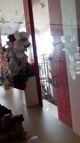 The video pans from a close-up of a hand holding a phone to a wider shot of a room with large windows. Inside, several people are visible. A person wearing glasses and a black headscarf is sitting at a table, looking at their phone. Further in the background, another person in a pink shirt and a headscarf is seated. A decorative arrangement of artificial flowers is prominently displayed on a white vase on the table. Through the window, a street scene is visible with some plants and a gate. The room appears to be a cafe or restaurant with red accents on the window frames and a light-colored wall. The lighting is bright, suggesting daytime.