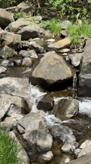 Rocky stream with small waterfalls documented in Zamčanje, Serbia
