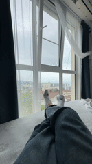 Person rests on bed overlooking Sochi cityscape
