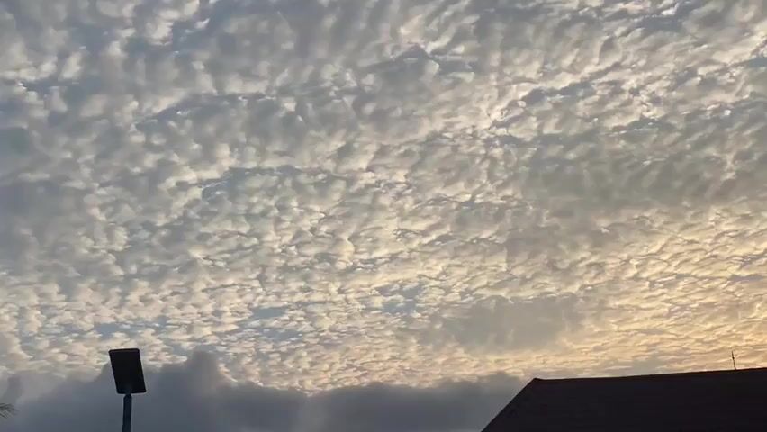 The video shows a sky filled with altocumulus clouds at dawn or dusk. The clouds are scattered and appear as small, rounded masses, creating a textured pattern across the sky. Sunlight is visible on the horizon, casting a warm glow on the clouds, particularly on the right side of the frame. In the lower part of the frame, the silhouette of a house with a tiled roof is visible on the right, and a lamppost is on the left. There are no people or animals clearly visible in the frame. The overall scene depicts a peaceful, natural environment.