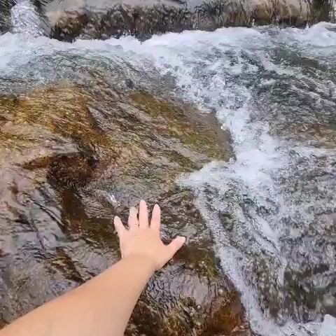 The video shows a person's left hand and forearm resting on rocks in a shallow, flowing stream. The water is clear and moving over the rocks, with some white foam visible. The rocks are varied in color, with shades of brown, gray, and some greenish algae. The background shows more rocks and vegetation along the edge of the stream. The camera appears to be positioned close to the water's surface, looking down at the hand and the stream.