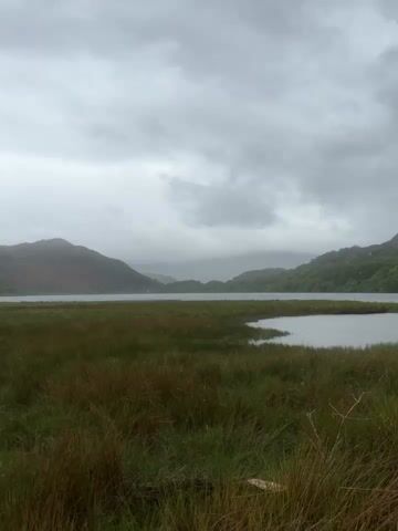 The video shows a scenic view of a lake and mountains under a cloudy sky.  The camera pans to the right, revealing more of the landscape.  Tall, green grass fills the foreground, leading to a body of water.  Across the water are rolling hills and mountains, partially obscured by mist and low-hanging clouds. Several trees are visible within the grassy area and along the lake shore.  The overall atmosphere is peaceful but overcast, with the gray sky dominating the scene.
