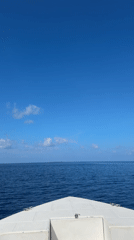 Boat journey recorded in calm waters near Ukulhas, Maldives