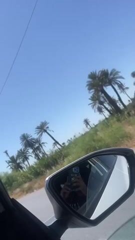 The video shows a view from a car window, specifically focusing on the side mirror. The car is moving along a road, as evidenced by the changing scenery reflected in the mirror. The landscape consists of numerous palm trees and other greenery under a clear, bright blue sky. The camera seems to be operated by a person inside the car, who is visible as a reflection in the side mirror holding a smartphone. The phone has a colorful case.