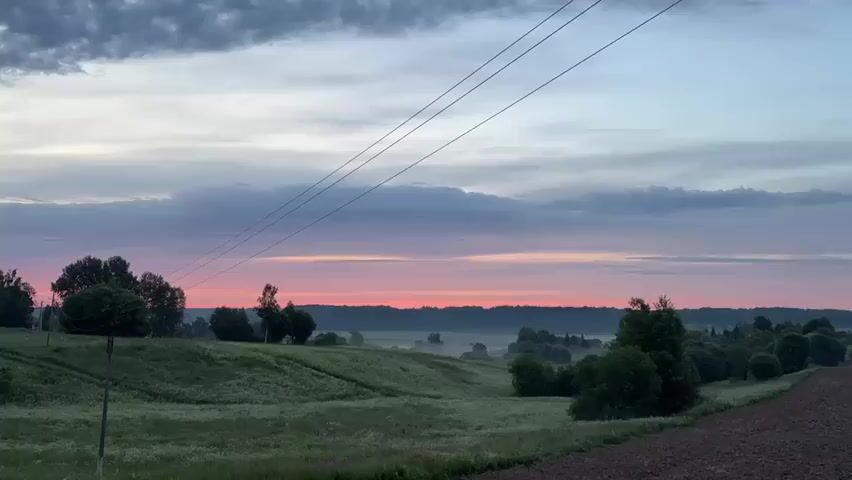 The video shows a wide landscape view at dawn. In the foreground on the left is a single, tall, thin pole with three wires running diagonally across the upper portion of the frame. To the left of the pole is a patch of green grass dotted with small white flowers. To the right of the pole is a gently sloping green field with more white flowers and some brown soil visible at the edge of the frame on the far right. In the midground, there are several trees scattered across rolling hills. A thin layer of fog is visible in the distance. The horizon is lined with a dark green forest. The sky above is a gradient of colors, with dark gray clouds at the top, transitioning to shades of pink and orange near the horizon. The overall impression is a serene, rural landscape at sunrise. No people or animals are visible.