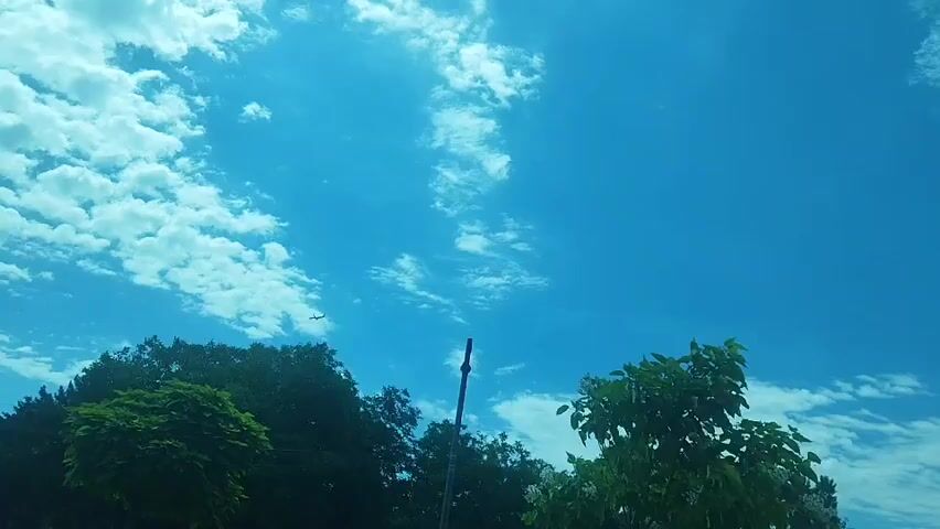 A low-angle shot captures a bright blue sky with scattered white clouds. In the distance, a small airplane is visible. Below the sky, the tops of several green trees are silhouetted against the bright sky. A dark pole stands vertically in the center of the frame, partially obscuring some of the trees. The scene suggests an outdoor setting on a clear day.