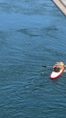 A person on a paddleboard navigates a calm, blue river. The paddleboarder wears a hat and appears to be paddling away from the camera. The river is surrounded by green, tree-covered hills and rocky outcrops. The water reflects the bright blue sky and the surrounding landscape. The perspective is from above, likely from a bridge or elevated structure, with a metallic railing visible in the foreground of the first frame. The scene suggests a sunny day in a natural, outdoor setting.