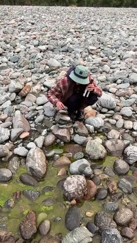 A person wearing a plaid shirt and a bucket hat crouches on a rocky riverbed, building a cairn of stones. The person is holding a bottle of what appears to be beer in their right hand, and with their left hand, they are carefully placing a small stone on top of the cairn. The riverbed is covered in various sizes of grey, brown, and white rocks, with patches of green algae visible in the shallow water. The background consists of more rocks and distant trees.