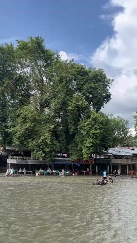 The video captures a lively river scene with a village lining the bank. Several people are visible in and around the water, some appear to be swimming or wading, while others are seated on the bank. A few small rafts or boats are present in the river. Buildings with stilted foundations and thatched or corrugated roofs are visible along the riverbank, some appearing to be shops or homes. Dense green trees, characteristic of a tropical environment, dominate the background, with one particularly large tree prominently featured. The sky is partly cloudy with patches of blue sky visible. Further down the river, a white truss bridge spans the water. The overall atmosphere suggests a vibrant community interacting with its natural environment.