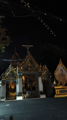 Woman and cat spotted near ornate temple gate in Bangkok