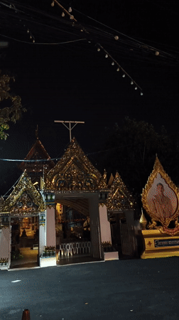 Woman and cat spotted near ornate temple gate in Bangkok