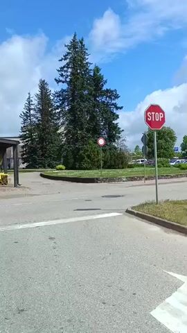 A daytime street scene features a red octagonal STOP sign on the right and a white circular sign with a red border (no entry) on the left. The road is paved with white crosswalk markings. A dark-colored hatchback car (resembling a Volkswagen Golf) drives from the right, moves across the foreground, and turns left, appearing to navigate a roundabout or intersection. A green car is briefly visible turning right in the background. The environment includes mature trees, some distant buildings, and a partly cloudy blue sky.